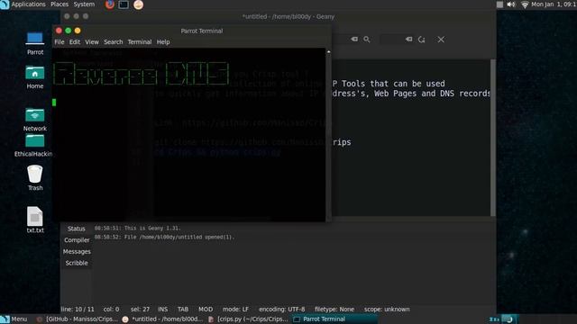 How to use Crips.py - IP tools [Whois ,DNS Lookup, port scan] смотреть онлайн