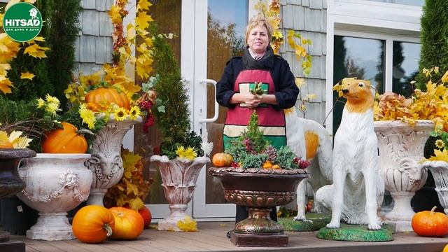 Осенняя композиция в вазоне ✔️ Создаём красоту на участке смотреть онлайн