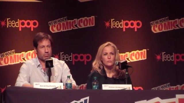 NYCC 2013 XF-Panel With Gillian Anderson & David Duchovny