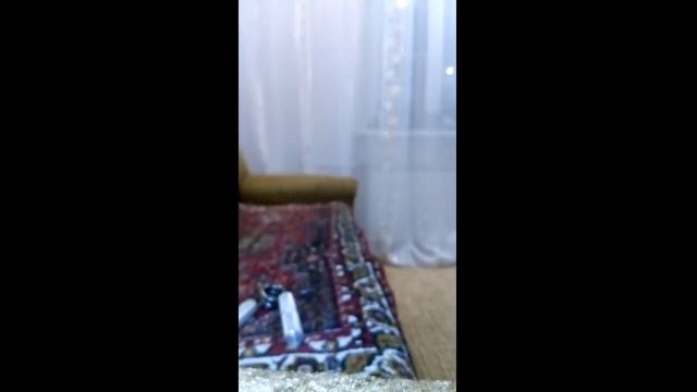 СоС№4 на 89кг схр от Артура Юмагужина смотреть онлайн