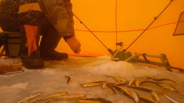 Изменчивое. Рыбалка. 16.12.22. Вот оно, счастье смотреть онлайн