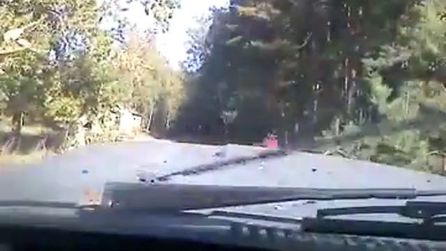 вездеход на шинах низкого давления испытания смотреть онлайн