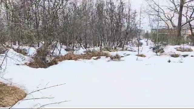 Видео 478 смотреть онлайн