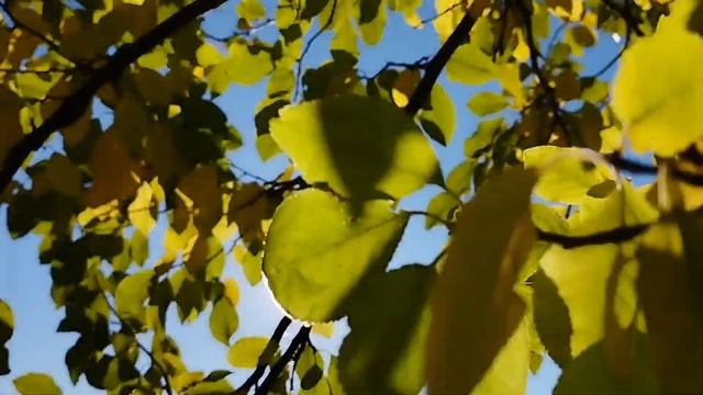 Музыка Эдгар Туниянц. Один день осени. Город Калининград. смотреть онлайн