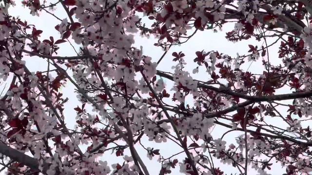 Люблю… смотреть онлайн