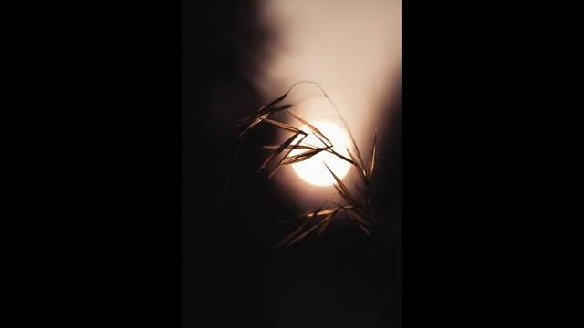 Самая Красивая Музыка для Релакса Послушайте и вы влюбитесь.mp4 смотреть онлайн