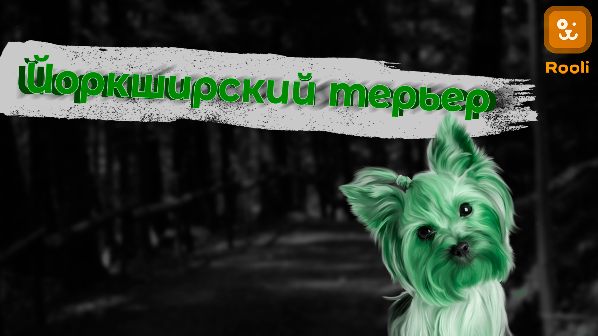 Йоршерский Терьер: Маленький Пес с Большим Характером смотреть онлайн