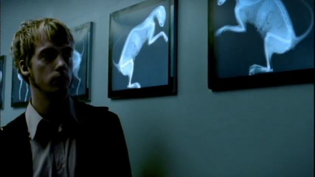 Kashmir - Mom In Love, Daddy In Space смотреть онлайн