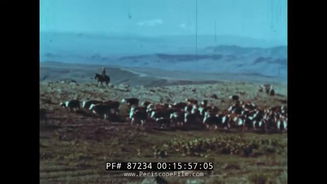 1950s AMERICAN COWBOY DOCUMENTARY PRESENTED BY FORD MOTOR CO. 87234 смотреть онлайн