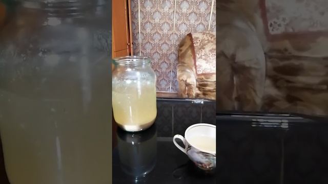 Сурица. Мощная и эффективная чистка организма. Шрот Расторопши. смотреть онлайн