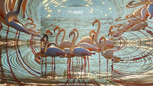 Vlad Gluschenko - Flamingo [Музыка без авторских прав]