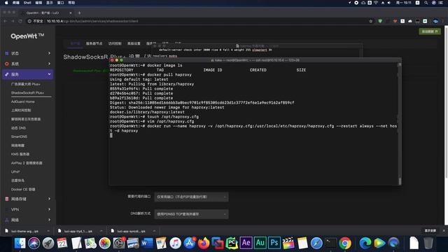 解决软路由科学上网掉线烦恼，docker+haproxy负载均衡，配置简单灵活 смотреть онлайн