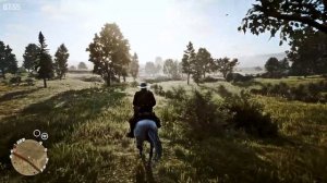 Настройка графики в Red Dead Redemption 2.  Лучшая картинка. Red Dead Vision.