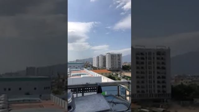 Если вдруг увидели такое - не трогайте самостоятельно. Вьетнамцы знают, как убрать осиное гнездо. смотреть онлайн