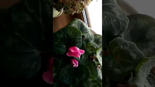 Увеличен!!!! 4 месяца спустя смотреть онлайн