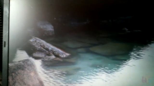 Самые красивые места озера Бойкал! смотреть онлайн