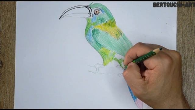 Discover the secret to drawing birds effortlessly with a pencil! смотреть онлайн