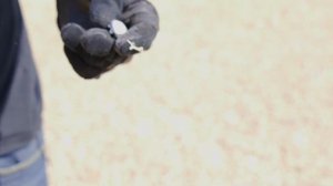 Сайга 5.45 короткая vs обычная - пробитие и кучность (BONUS пробитие 7.62х39, 366ТКМ, 12к)