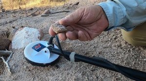 Minelab Gold Monster 1000 Quick Balance, Does Yours Have It?