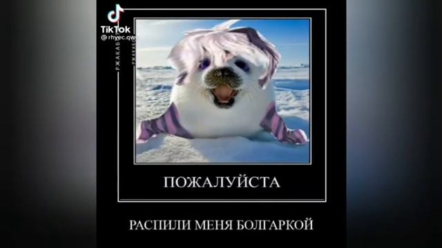 Распели меня болгаркой по китайски смотреть онлайн