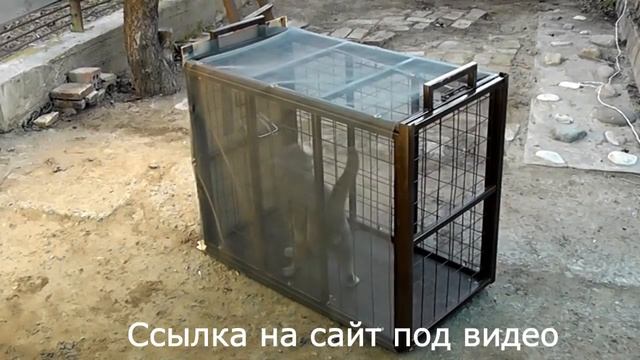 Отлов кошек. Как поймать кошку. Ловушка для кошек. Бездомные кошки. смотреть онлайн