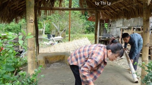 Together with my father, I built a new house using traditional bamboo - Natural Life | Ly Thi Ly