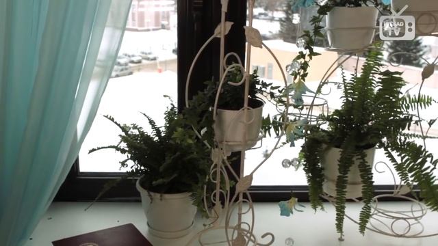 Подставки под цветы на подоконник ✅ Где купить подарок ❀ интернет-магазин Hitsad смотреть онлайн