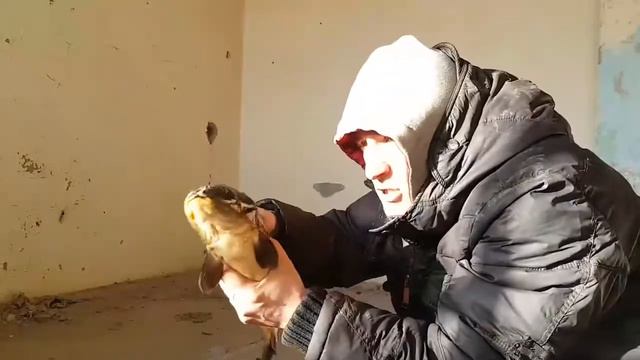 Актёрская с карпом (Эльдар Богунов) смотреть онлайн