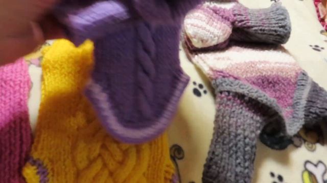 ПРОВОЖАЕМ в НОВЫЙ дом #чихуахуа Зарик, Федя, Чейз 29.10.23 #купитьОДЕЖДУ 89215950848 #продаюОДЕЖДА смотреть онлайн