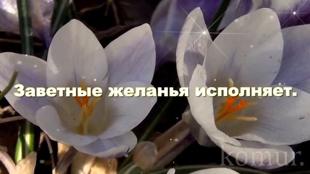 ЧУДЕСНОГО ВЕСЕННЕГО НАСТРОЕНИЯ! УДАЧНОГО ДНЯ!#музыкальная открытка# komur смотреть онлайн