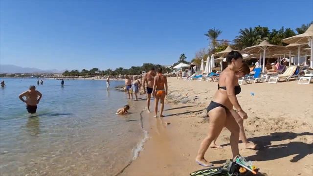 Palma Mallorca.Barcelona Beach Walk смотреть онлайн