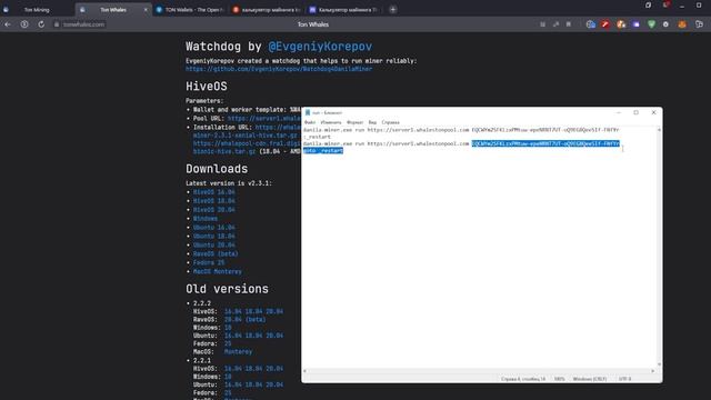 Как майнить TON Coin на домашнем компьютере с Windows. Майнинг Ton.