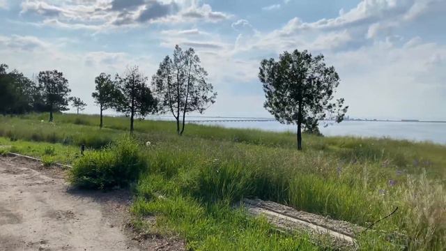 На Лавандовые поля под Одессой! #Lavender #Сергеевка, #Курортное, #Marinfourcorners #Marinbikes смотреть онлайн