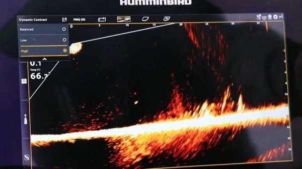 How to Optimize Humminbird MEGA Live Dynamic Contrast | The Technological Angler