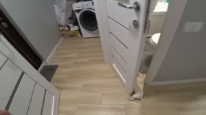 СОНЯ ПРИГОТОВИЛА ЛЮБИМЫЙ РЕЦЕПТ НА УЖИН / ДРЕССИРОВКА ЧИХУАХУА