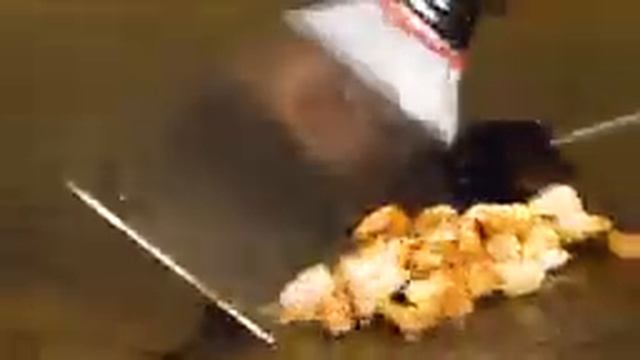 Artistic Teppanyaki Course, Tenderloin Steak & Seafood