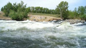 Ириклинское водохранилище .поселок Энергетик.Природа Оренбургской области