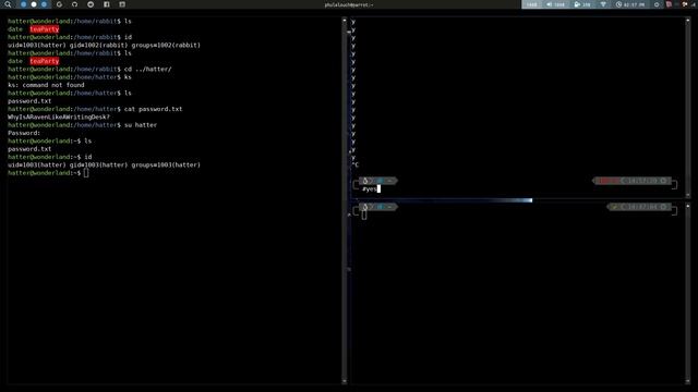Tryhackme - Wonderland - Part 3 - getting the f*ing root.txt смотреть онлайн