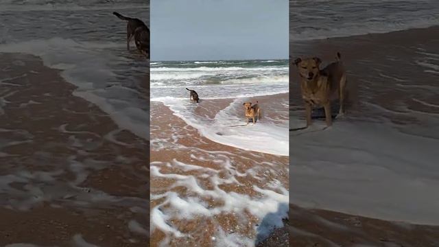 Крым. Нижнезаморское. смотреть онлайн