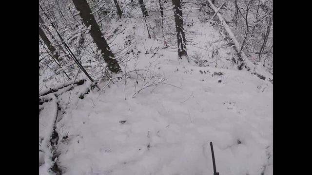 Охота.Охота на лося,выгнал лосей на номера. смотреть онлайн