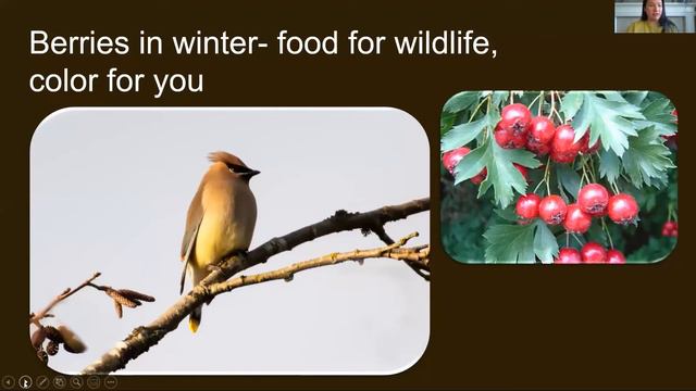 Landscaping for Wildlife: Creating habitat for beneficial animals and insects смотреть онлайн