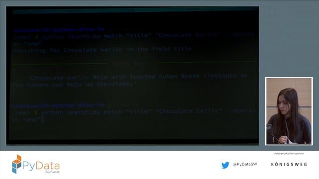 Super Search with Python and OpenSearch - Laysa Uchoa смотреть онлайн