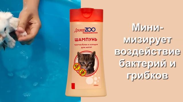 шампунь для котят против блох и клещей смотреть онлайн