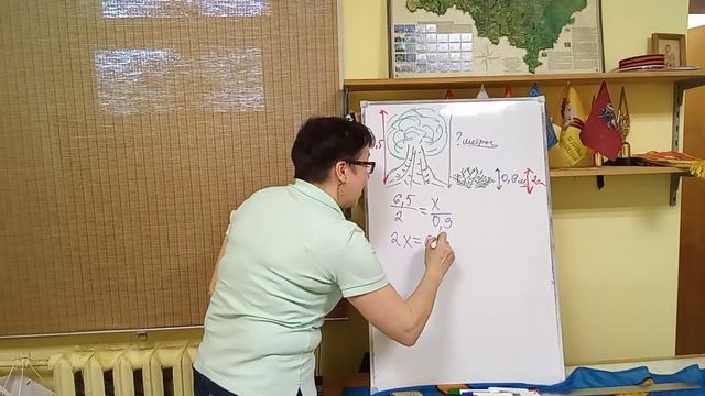 ВПР математика 6 класс. К4.В1. Задание 5. про дерево и растущий рядом куст. смотреть онлайн