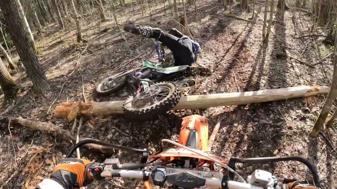 Замшелый бобёр 2022 Псков смотреть онлайн