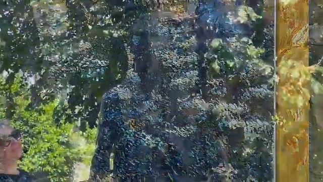 Музей Ван Гога в Арле, Франция смотреть онлайн