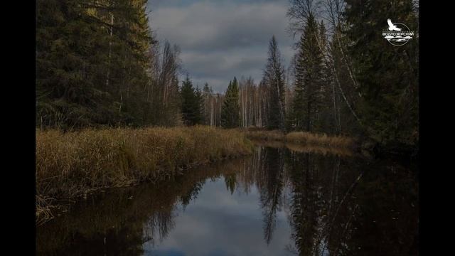 Национальный парк Водлозерский смотреть онлайн