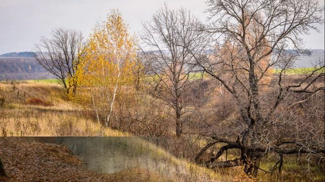 Осень...(Юлия Пивень) смотреть онлайн