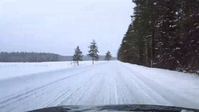 Зимний лес смотреть онлайн