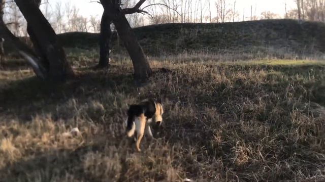 ВЕО Ник. Играем в прятки смотреть онлайн